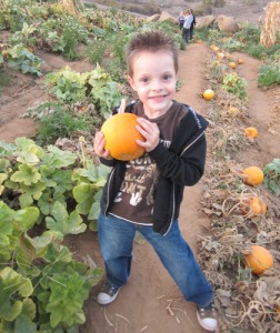 pumpkin picking