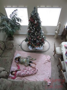 A sleep over under the tree Itsayummylife